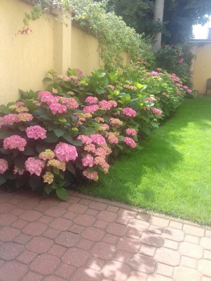 Dzika Plaza Rum i privatbostad *